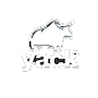 yack